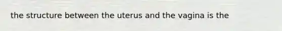 the structure between the uterus and the vagina is the