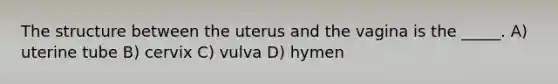 The structure between the uterus and the vagina is the _____. A) uterine tube B) cervix C) vulva D) hymen