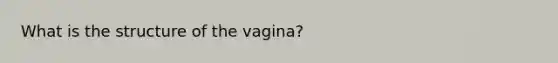 What is the structure of the vagina?