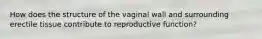 How does the structure of the vaginal wall and surrounding erectile tissue contribute to reproductive function?