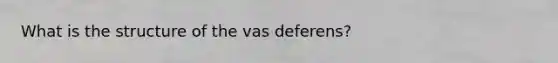 What is the structure of the vas deferens?