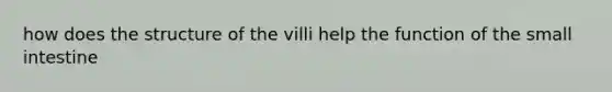 how does the structure of the villi help the function of the small intestine