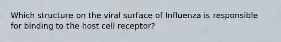 Which structure on the viral surface of Influenza is responsible for binding to the host cell receptor?