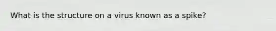 What is the structure on a virus known as a spike?