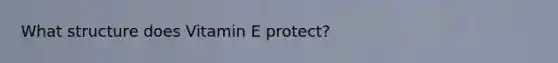 What structure does Vitamin E protect?