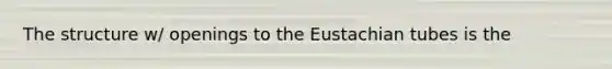 The structure w/ openings to the Eustachian tubes is the