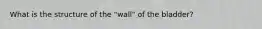 What is the structure of the "wall" of the bladder?