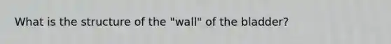 What is the structure of the "wall" of the bladder?