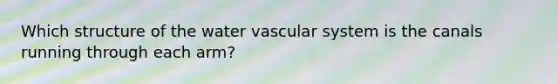 Which structure of the water vascular system is the canals running through each arm?