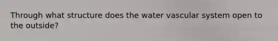 Through what structure does the water vascular system open to the outside?