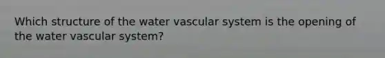 Which structure of the water vascular system is the opening of the water vascular system?