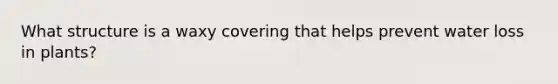 What structure is a waxy covering that helps prevent water loss in plants?