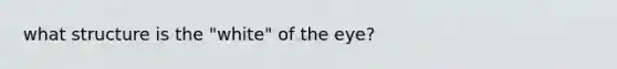 what structure is the "white" of the eye?