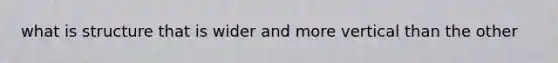 what is structure that is wider and more vertical than the other