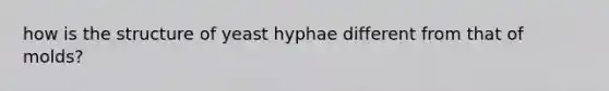 how is the structure of yeast hyphae different from that of molds?