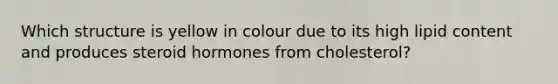 Which structure is yellow in colour due to its high lipid content and produces steroid hormones from cholesterol?