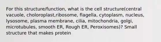 For this structure/function, what is the cell structure(central vacuole, choloroplast,ribosome, flagella, cytoplasm, nucleus, lysosome, plasma membrane, cilia, mitochondria, golgi, microtubules, smooth ER, Rough ER, Peroxisomes)? Small structure that makes protein