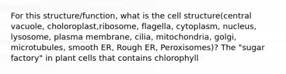 For this structure/function, what is the cell structure(central vacuole, choloroplast,ribosome, flagella, cytoplasm, nucleus, lysosome, plasma membrane, cilia, mitochondria, golgi, microtubules, smooth ER, Rough ER, Peroxisomes)? The "sugar factory" in plant cells that contains chlorophyll