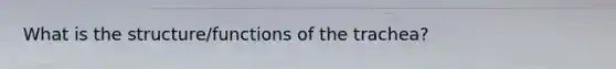 What is the structure/functions of the trachea?
