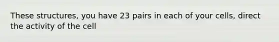 These structures, you have 23 pairs in each of your cells, direct the activity of the cell