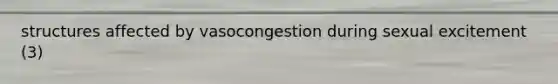 structures affected by vasocongestion during sexual excitement (3)