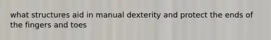 what structures aid in manual dexterity and protect the ends of the fingers and toes