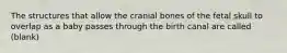 The structures that allow the cranial bones of the fetal skull to overlap as a baby passes through the birth canal are called (blank)