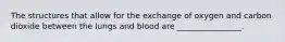 The structures that allow for the exchange of oxygen and carbon dioxide between the lungs and blood are ________________.