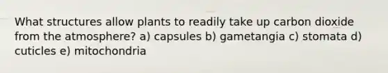 What structures allow plants to readily take up carbon dioxide from the atmosphere? a) capsules b) gametangia c) stomata d) cuticles e) mitochondria