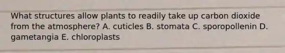 What structures allow plants to readily take up carbon dioxide from the atmosphere? A. cuticles B. stomata C. sporopollenin D. gametangia E. chloroplasts