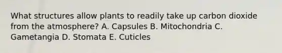 What structures allow plants to readily take up carbon dioxide from the atmosphere? A. Capsules B. Mitochondria C. Gametangia D. Stomata E. Cuticles