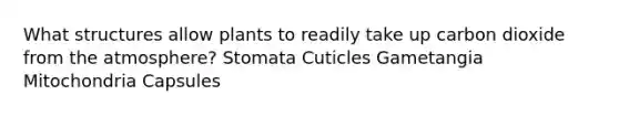 What structures allow plants to readily take up carbon dioxide from the atmosphere? Stomata Cuticles Gametangia Mitochondria Capsules