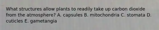 What structures allow plants to readily take up carbon dioxide from the atmosphere? A. capsules B. mitochondria C. stomata D. cuticles E. gametangia