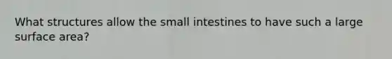 What structures allow the small intestines to have such a large surface area?