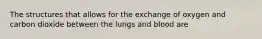 The structures that allows for the exchange of oxygen and carbon dioxide between the lungs and blood are