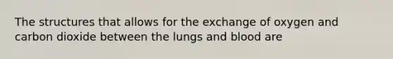 The structures that allows for the exchange of oxygen and carbon dioxide between the lungs and blood are