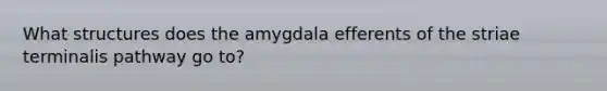 What structures does the amygdala efferents of the striae terminalis pathway go to?