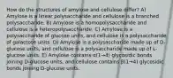 How do the structures of amylose and cellulose differ? A) Amylose is a linear polysaccharide and cellulose is a branched polysaccharide. B) Amylose is a homopolysaccharide and cellulose is a heteropolysaccharide. C) Amylose is a polysaccharide of glucose units, and cellulose is a polysaccharide of galactose units. D) Amylose is a polysaccharide made up of D-glucose units, and cellulose is a polysaccharide made up of L-glucose units. E) Amylose contains α(1→4) glycosidic bonds joining D-glucose units, and cellulose contains β(1→4) glycosidic bonds joining D-glucose units.