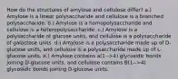 How do the structures of amylose and cellulose differ? a.) Amylose is a linear polysaccharide and cellulose is a branched polysaccharide. b.) Amylose is a homopolysaccharide and cellulose is a heteropolysaccharide. c.) Amylose is a polysaccharide of glucose units, and cellulose is a polysaccharide of galactose units. d.) Amylose is a polysaccharide made up of D-glucose units, and cellulose is a polysaccharide made up of L-glucose units. e.) Amylose contains a(1-->4) glycosidic bonds joining D-glucose units, and cellulose contains B(1-->4) glycosidic bonds joining D-glucose units.