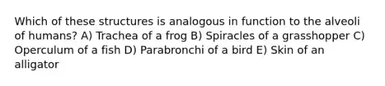 Which of these structures is analogous in function to the alveoli of humans? A) Trachea of a frog B) Spiracles of a grasshopper C) Operculum of a fish D) Parabronchi of a bird E) Skin of an alligator