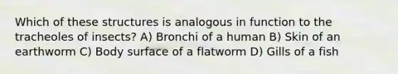 Which of these structures is analogous in function to the tracheoles of insects? A) Bronchi of a human B) Skin of an earthworm C) Body surface of a flatworm D) Gills of a fish