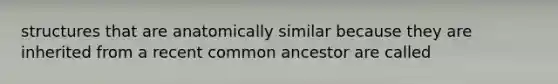 structures that are anatomically similar because they are inherited from a recent common ancestor are called