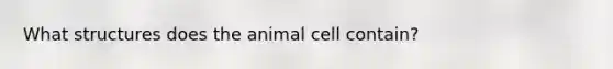 What structures does the animal cell contain?