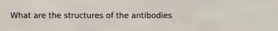 What are the structures of the antibodies