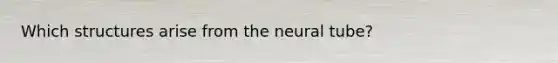 Which structures arise from the neural tube?