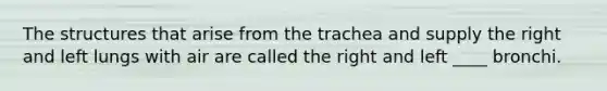 The structures that arise from the trachea and supply the right and left lungs with air are called the right and left ____ bronchi.