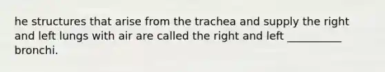 he structures that arise from the trachea and supply the right and left lungs with air are called the right and left __________ bronchi.