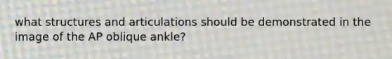 what structures and articulations should be demonstrated in the image of the AP oblique ankle?