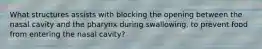 What structures assists with blocking the opening between the nasal cavity and the pharynx during swallowing, to prevent food from entering the nasal cavity?