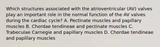 Which structures associated with the atrioventricular (AV) valves play an important role in the normal function of the AV valves during the cardiac cycle? A. Pectinate muscles and papillary muscles B. Chordae tendineae and pectinate muscles C. Trabeculae Carnegie and papillary muscles D. Chordae tendineae and papillary muscles